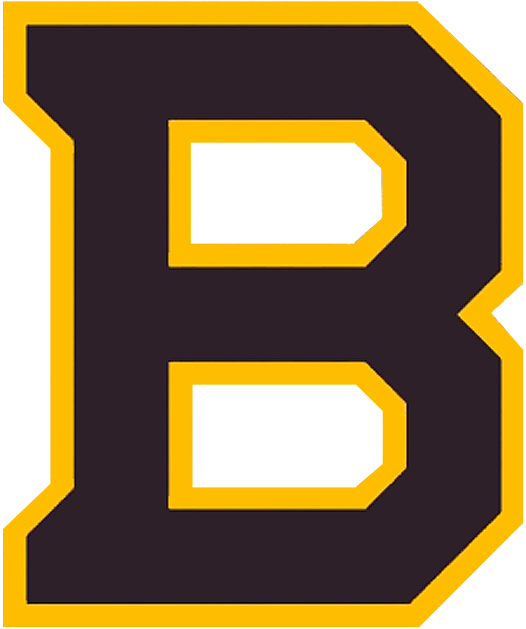 Boston Bruins 2019 Special Event Logo iron on heat transfer